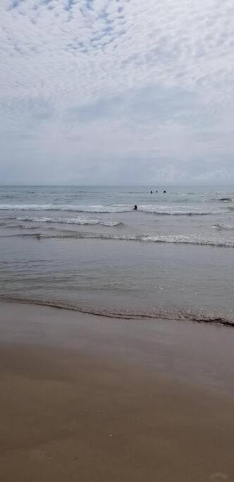 2 Bed 1 Bath Condo By Beach & Entertainment South Padre Island Exterior foto